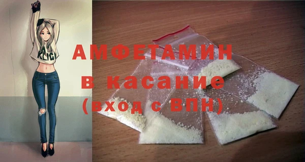 индика Верхний Тагил