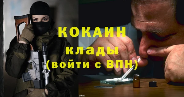 индика Верхний Тагил