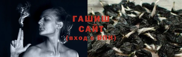 индика Верхний Тагил
