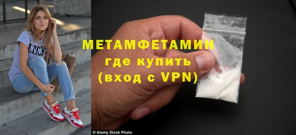 индика Верхний Тагил