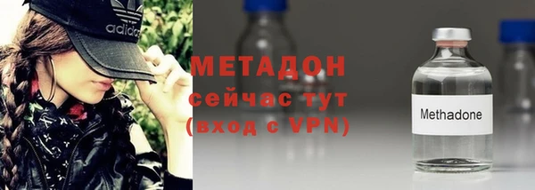 индика Верхний Тагил