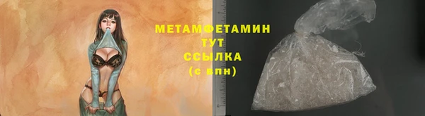 индика Верхний Тагил