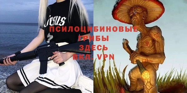 индика Верхний Тагил