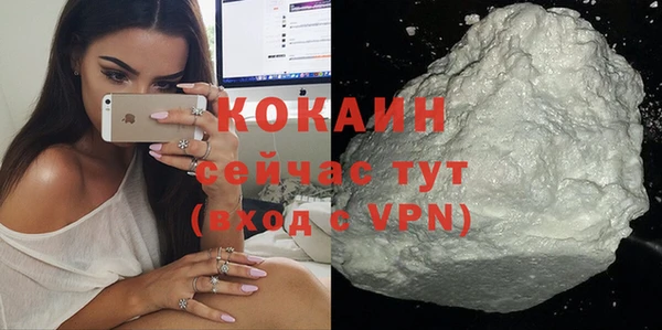 индика Верхний Тагил