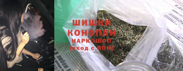 индика Верхний Тагил