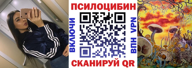 mega tor Ростов Псилоцибиновые грибы Cubensis